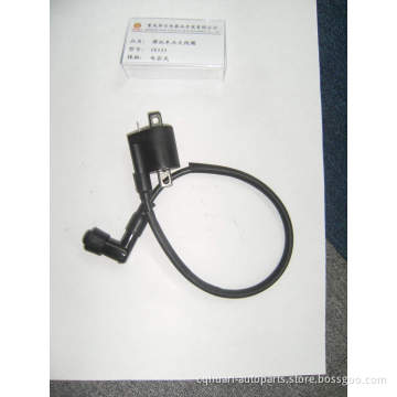 Ignition Coil for Motorcycle, ATV, Quads